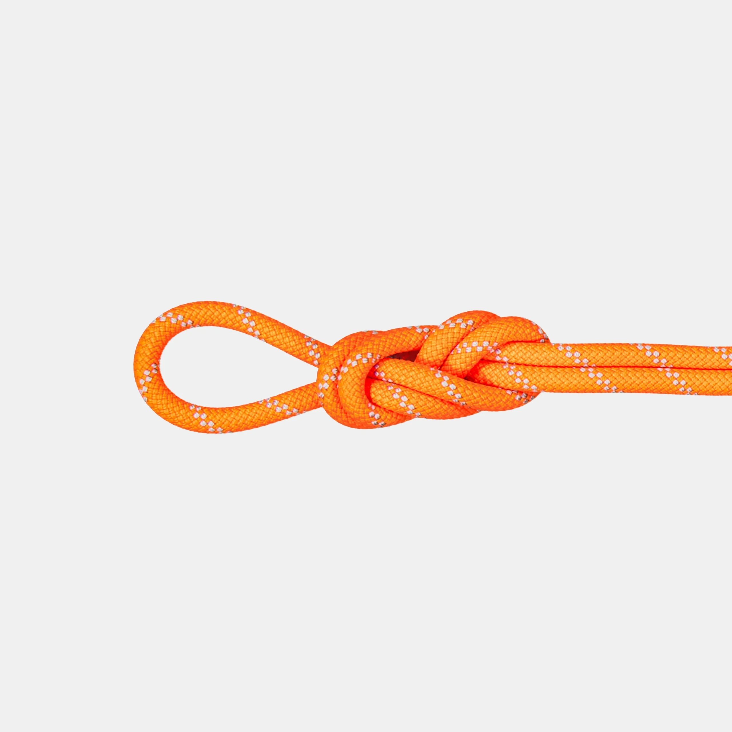9.5 Alpine Dry Rope