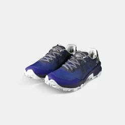 Sertig II Low GTX Men