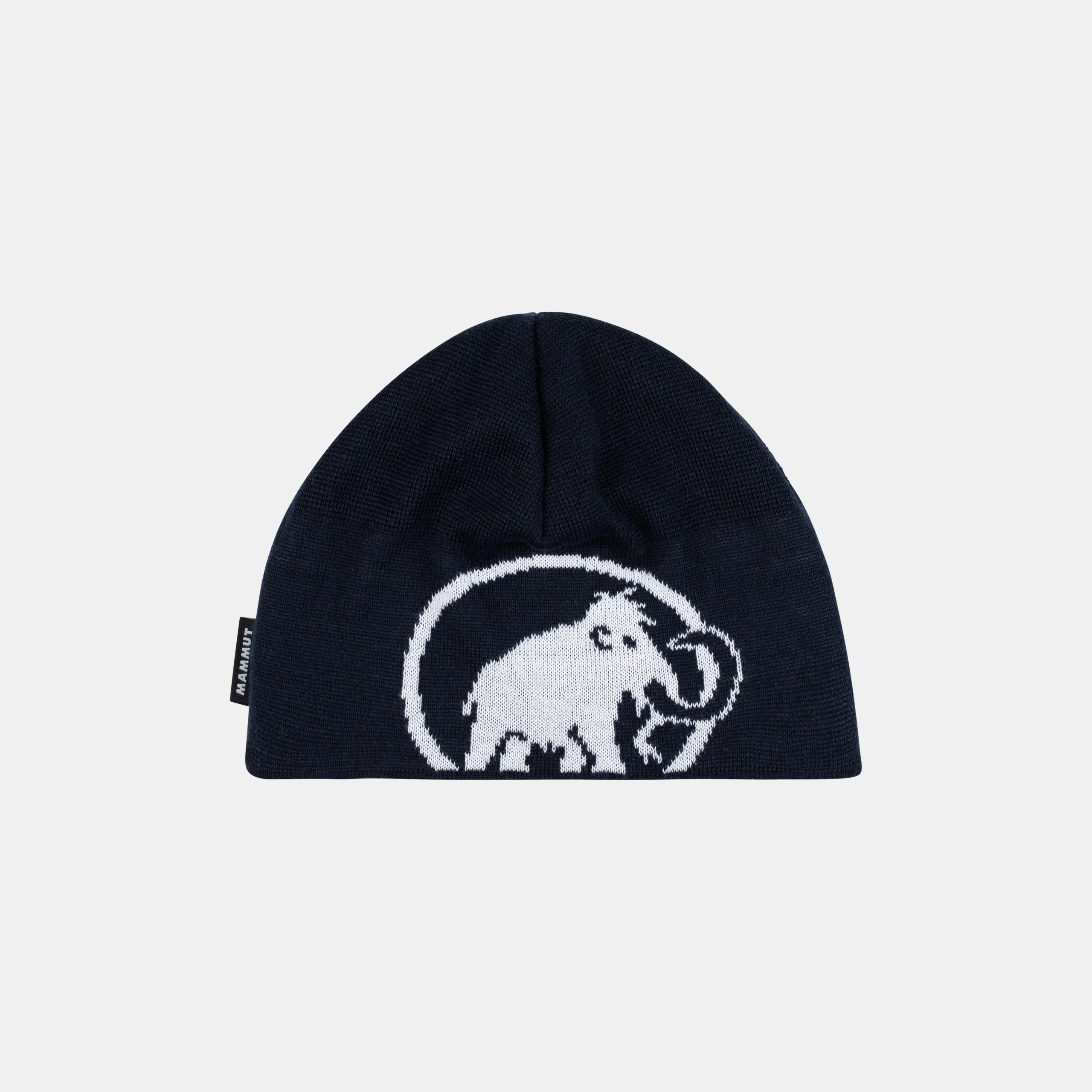 Tweak Beanie