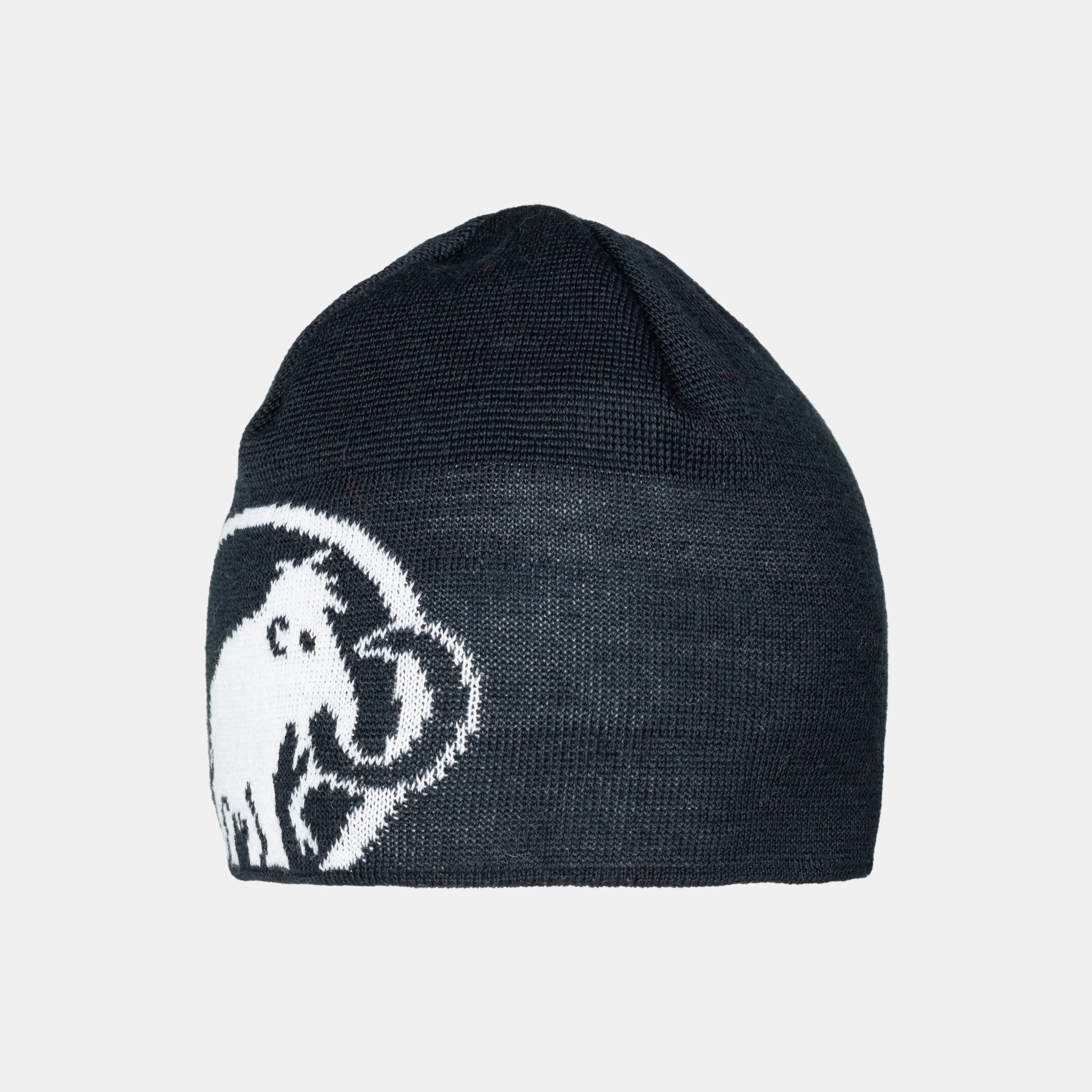 Tweak Beanie
